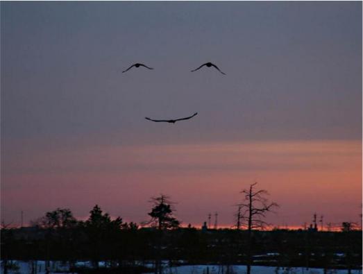 Nature's Smile - Unknown Photographer